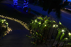 HOME FOR THE HOLIDAYS